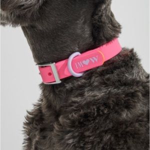 Wild One x Isaac Mizrahi Collar Cosmopolitan Medium